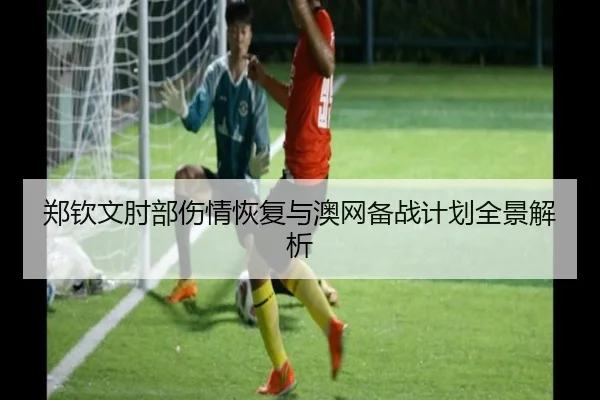 郑钦文肘部伤情恢复与澳网备战计划全景解析
